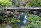 日本三奇橋 猿橋